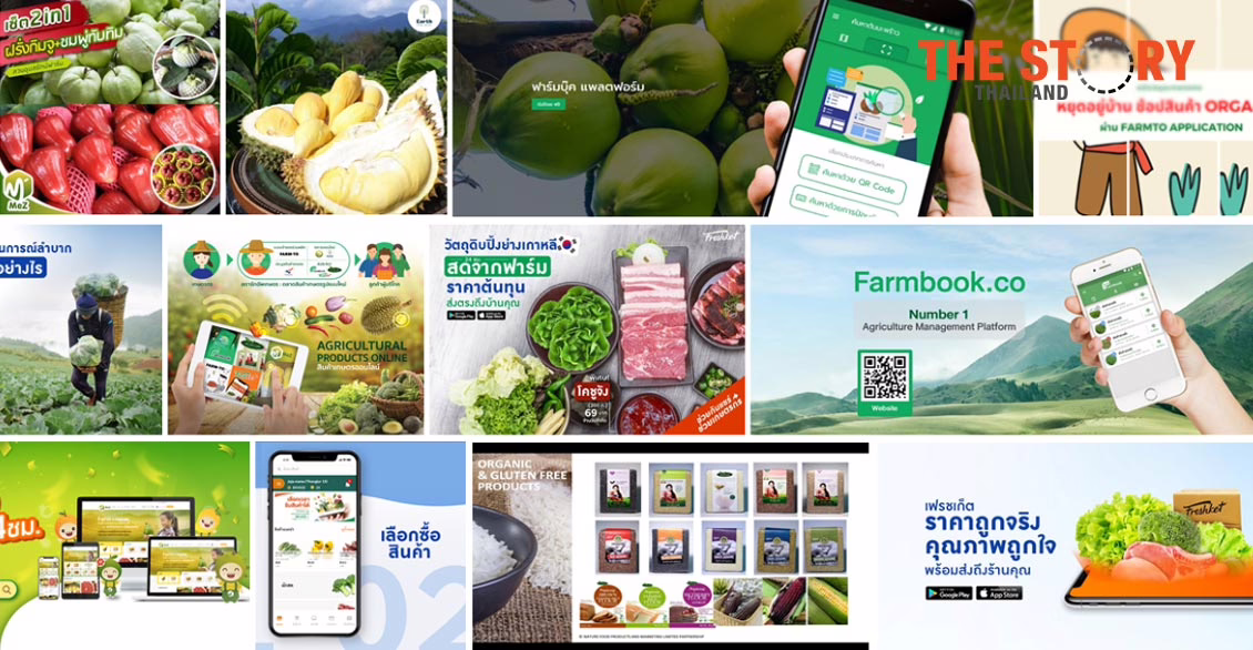 เอ็นไอเอหนุน 4 กลุ่มแพลตฟอร์มช่วยระบายสินค้าเกษตร ช่วงโควิด-19