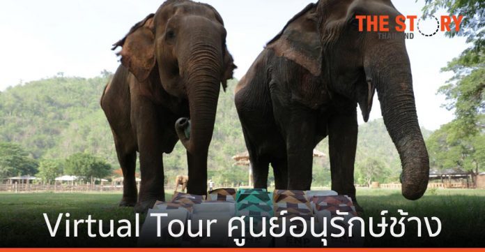 ลาซาด้า จัด Virtual Tour ช่วยเหลือช้างไทยและชุมชนผู้ปลูกกาแฟ