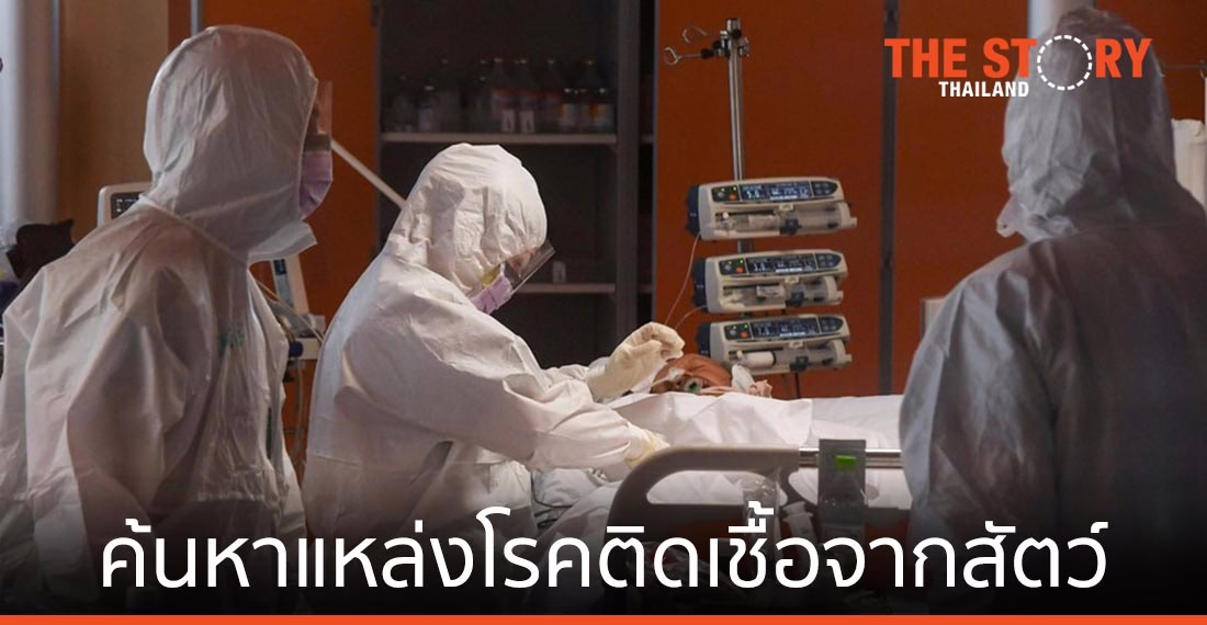 WHO ติดต่อผู้เชี่ยวชาญเตรียมค้นหา ‘แหล่งโรคติดเชื้อจากสัตว์ที่ก่อโควิด-19’