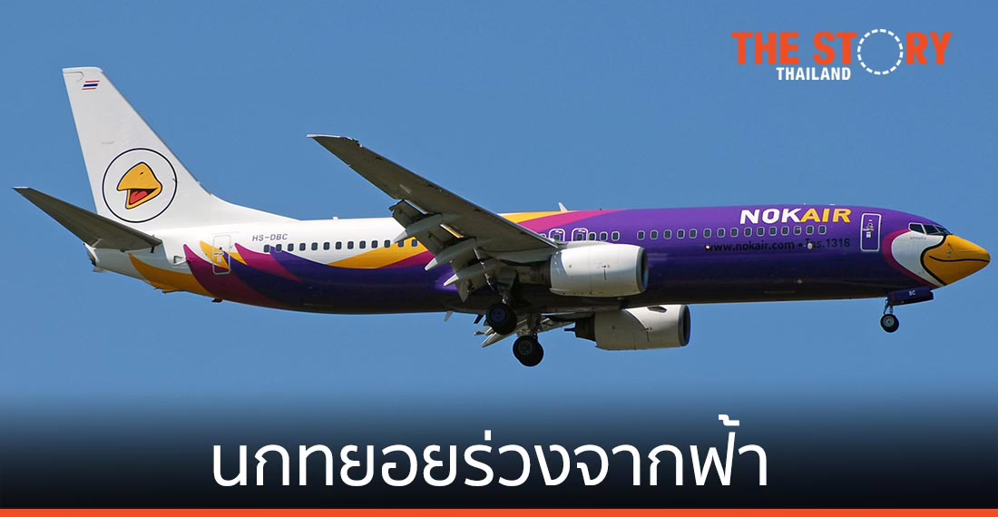 นกทยอยร่วงจากฟ้า กระพือปีกบินไม่ไหว