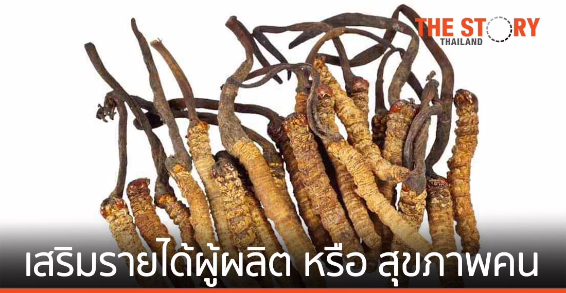 อาหารเสริม เสริมรายได้ผู้ผลิต หรือ เสริมสุขภาพคนกิน