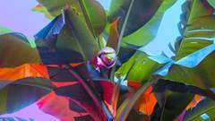 Graphical user interface

Description automatically generated