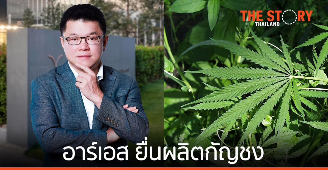 อาร์เอส กรุ๊ป จับมือพันธมิตร ยื่นผลิตกัญชง