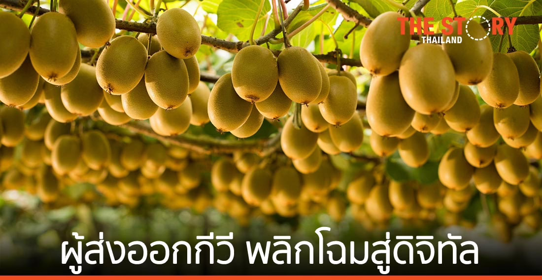 Zespri ผู้ส่งออกกีวีที่ใหญ่ที่สุดในโลก พลิกโฉมองค์กรสู่ดิจิทัล