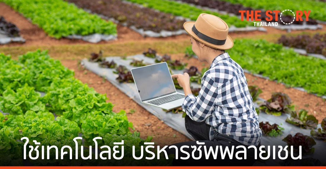 การบริหารจัดการซัพพลายเชน ก้าวต่อไปของธุรกิจอาหารและเครื่องดื่ม