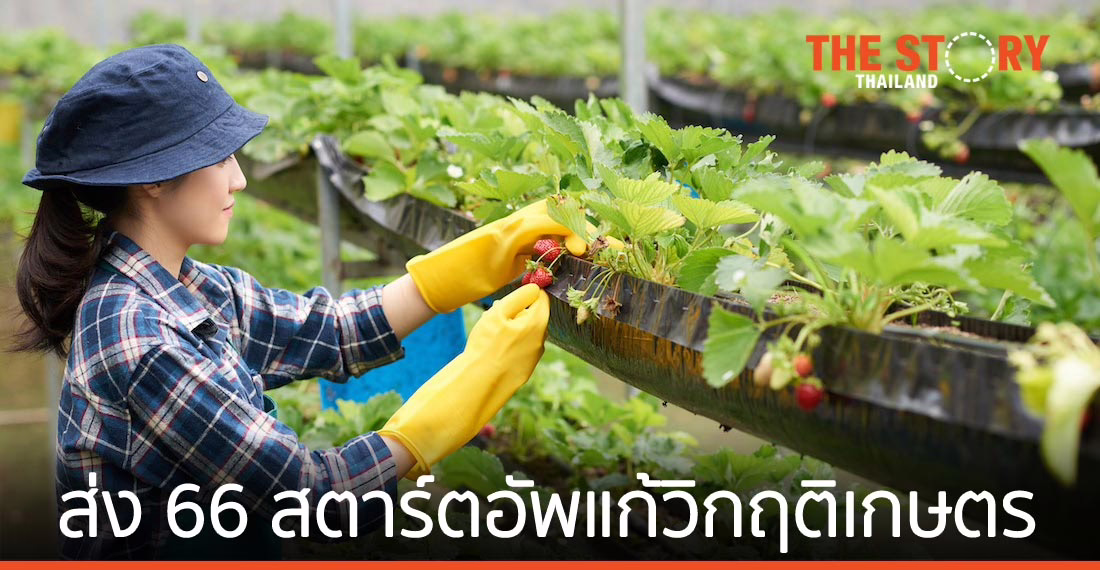 เอ็นไอเอ เตรียมส่ง 66 สตาร์ตอัพร่วมแก้วิกฤติภาคเกษตรไทย