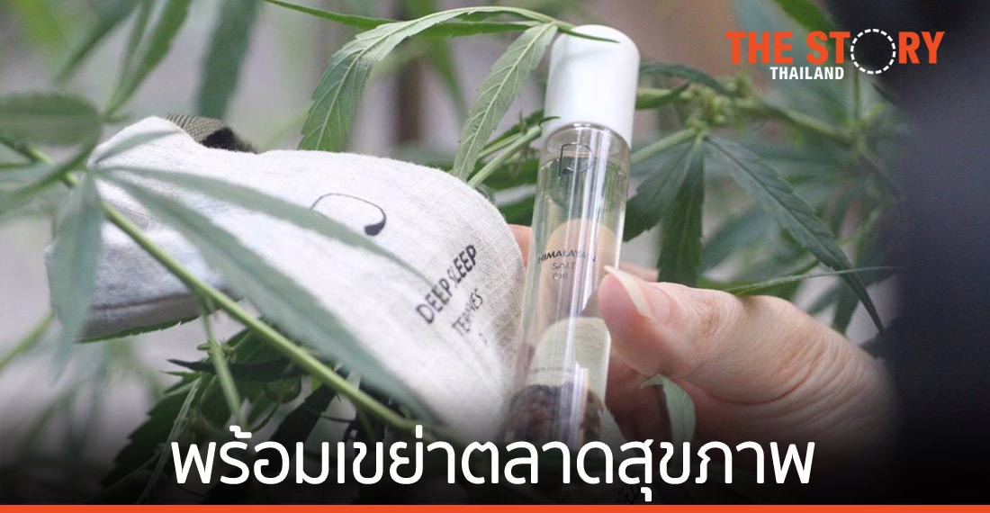 GTH เปิดตัวผลิตภัณฑ์ใหม่จาก “กัญชง” วางเป้ารายได้ปีแรกแตะ 500 ล้านบาท