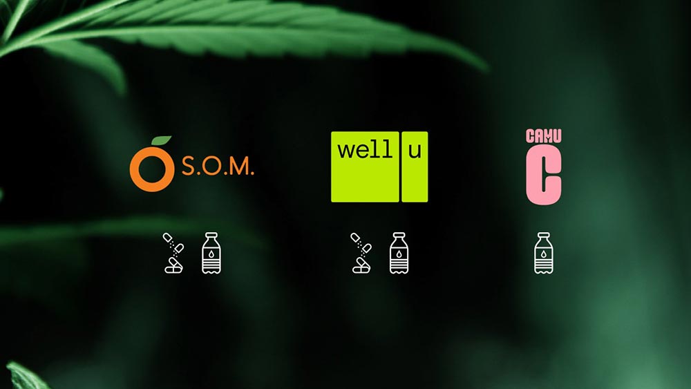 อาร์เอส เปิด 2 แบรนด์ใหม่ ลุยตลาดแมสหมื่นล้าน พร้อมเตรียมส่ง 8 สินค้า กัญชง-กัญชา สร้างรายได้กว่า 2,000 ลบ. 