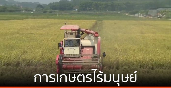 นักวิจัยจีนพัฒนา ‘การเกษตรไร้มนุษย์’ ผสานเทคโนฯ-เกษตรกรรม