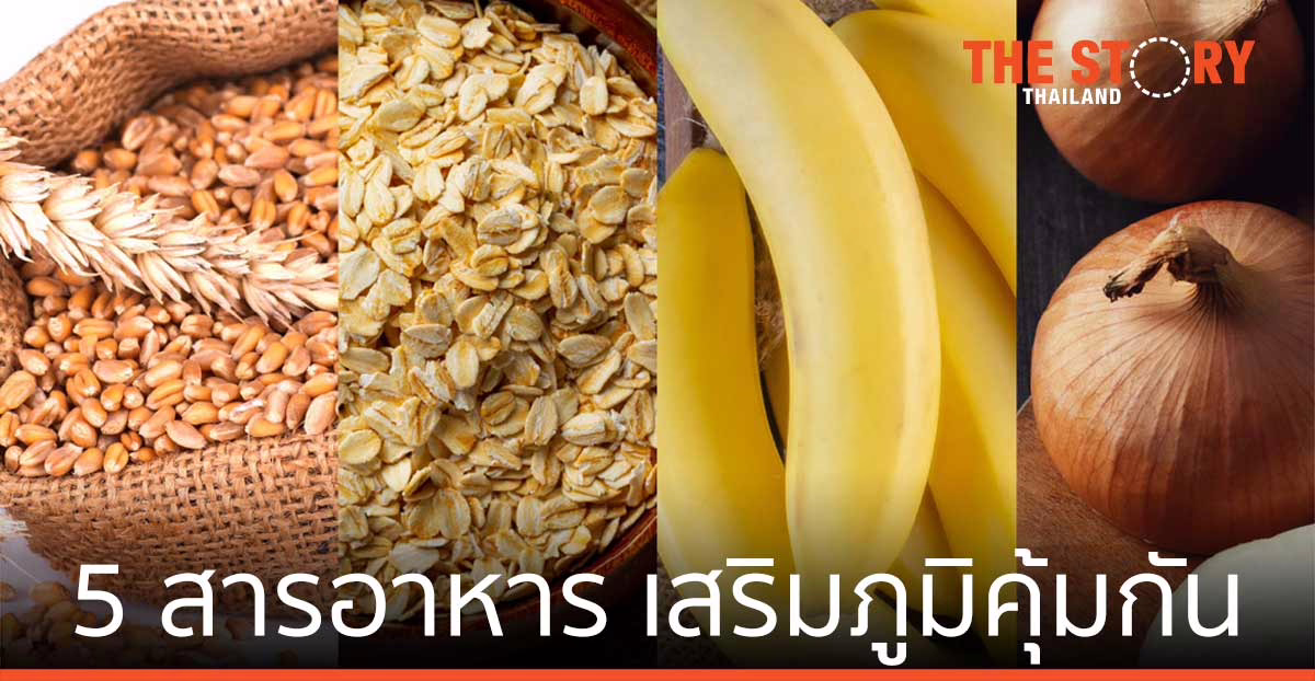 5 สารอาหารเสริมภูมิคุ้มกัน ห่างไกลไวรัส