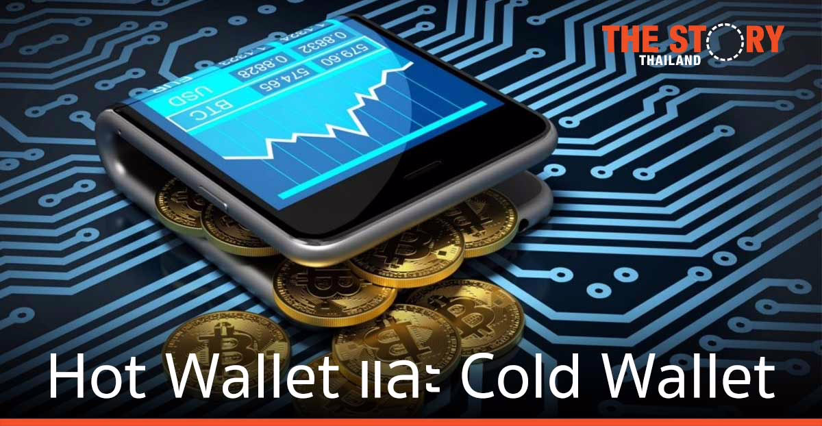 หลักการเลือกใช้ Hot Wallet และ Cold Wallet