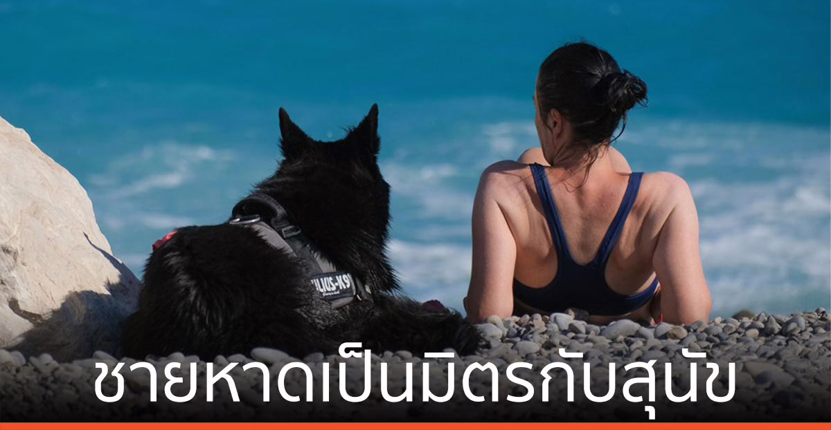 ฝรั่งเศส เปิด ‘ชายหาดเป็นมิตรกับสุนัข’ ในเมืองนีซ