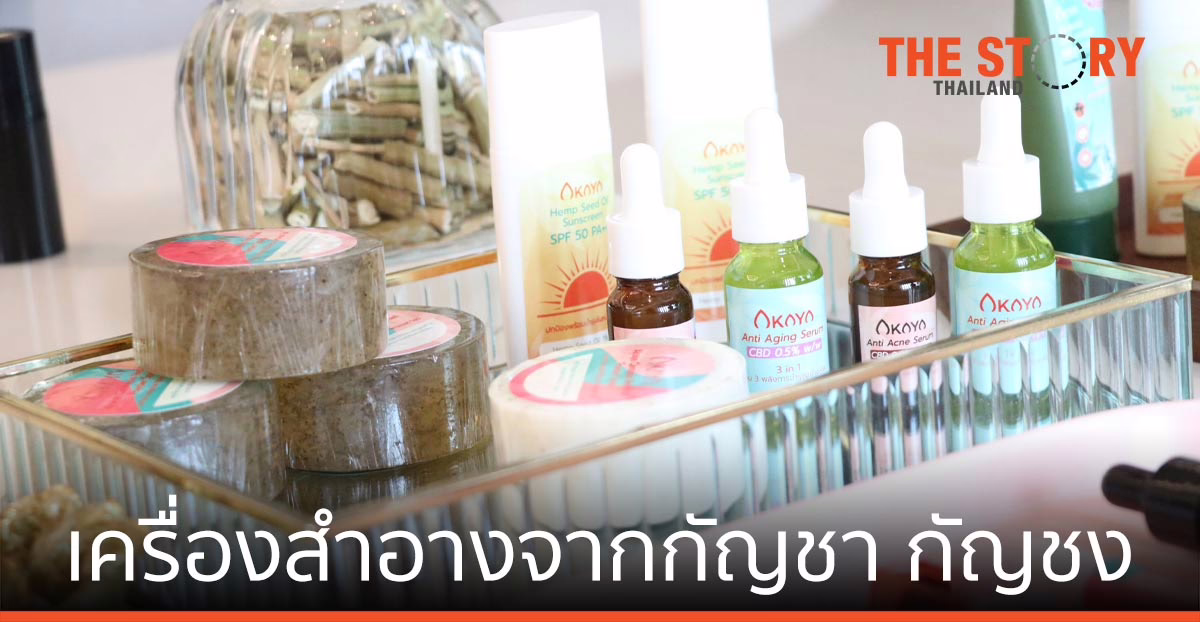 วิสาหกิจชุมชนเพลาเพลิน ร่วมมือ iColor พัฒนา เครื่องสำอางจากกัญชา กัญชง