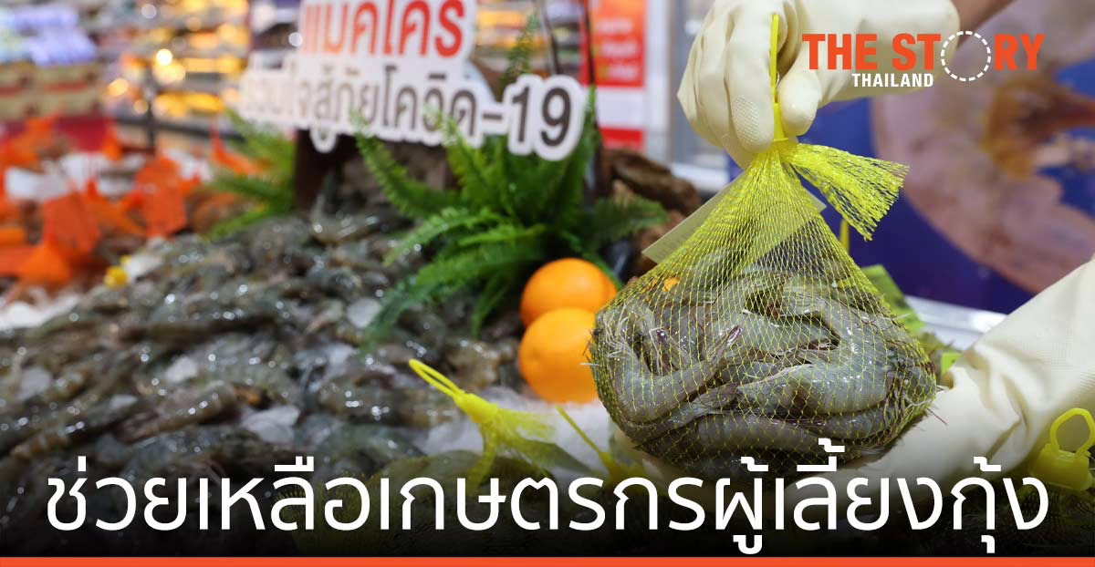 แม็คโคร ผนึก กรมการค้าภายใน รับซื้อกุ้งขาว ชวนคนไทยกินกุ้ง หนุนระบายผลผลิต