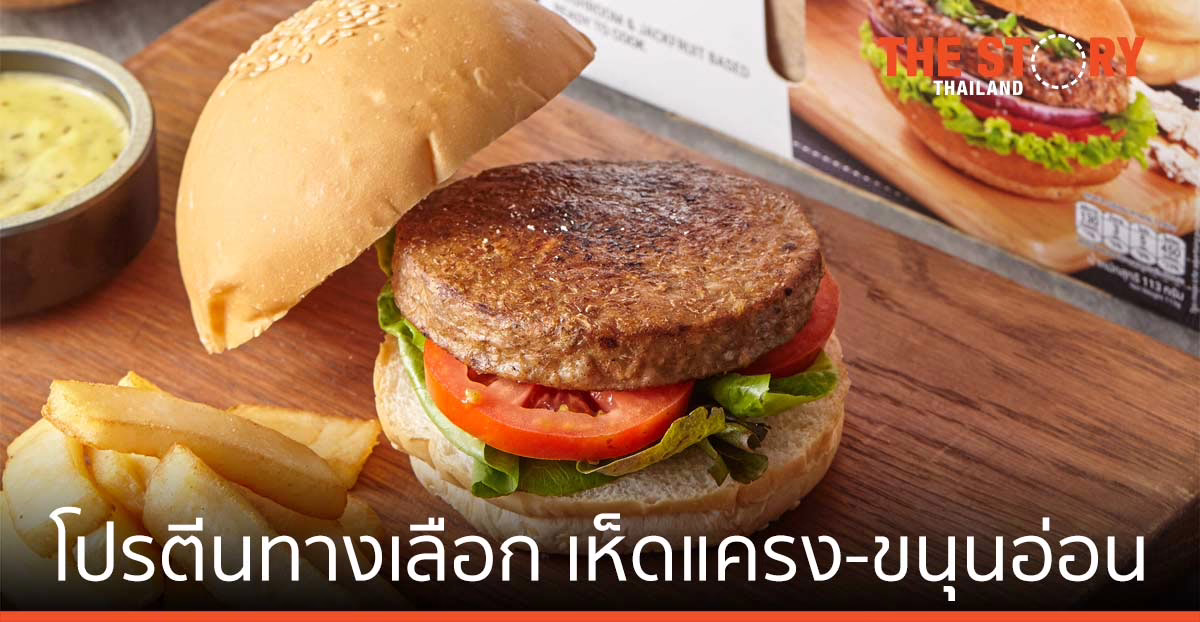 เฮลธิฟูล เปิดตัว โปรตีนทางเลือก จากเห็ดแครง-ขนุนอ่อน