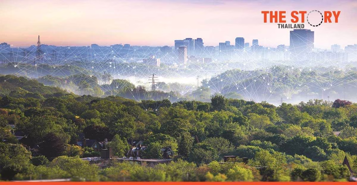 What decarbonization means for utility goals and the digital grid