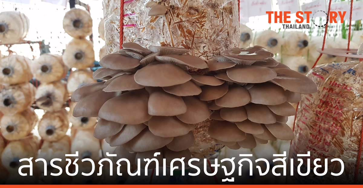 วว. เผยความสำเร็จ สารชีวภัณฑ์ เศรษฐกิจสีเขียว ยกระดับเกษตรกรรมไทยสู่เวทีโลก