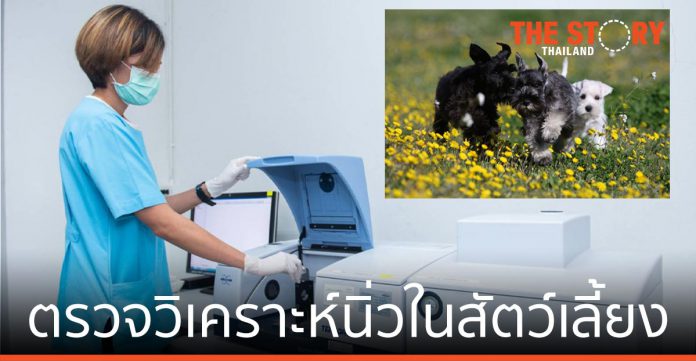 โรยัล คานิน มอบเว็บไซต์ตรวจโรคนิ่ว ในแมวและสุนัขพันธุ์เล็กให้กับรพ.สัตว์เกษตรฯ
