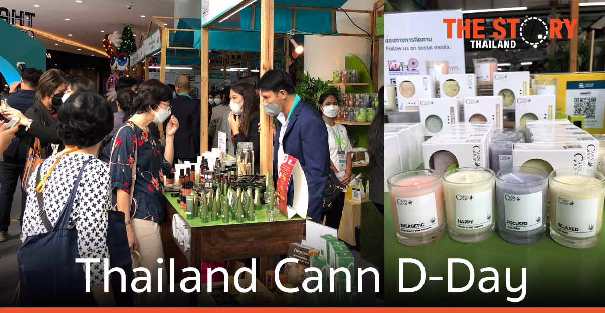 สมาคมการค้าอุตสาหกรรมกัญชงไทย เผยแผนยุทธศาสตร์ปั้นไทยสู่ Hemp Hub