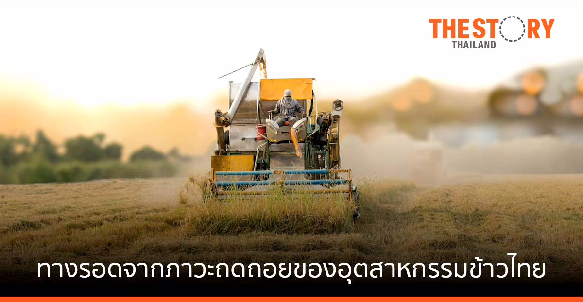 ทางรอดจากภาวะถดถอย ของอุตสาหกรรมข้าวไทย