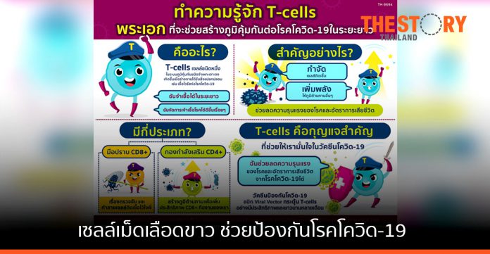 ทำความรู้จัก T-cells เซลล์เม็ดเลือดขาว ช่วยป้องกันโรคโควิด-19