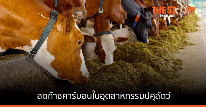 ปศุสัตว์ไทยเตรียมพร้อมสู่เกษตรกรยั่งยืน ลดก๊าซคาร์บอนฯ และมีเทนในห่วงโซ่การผลิต
