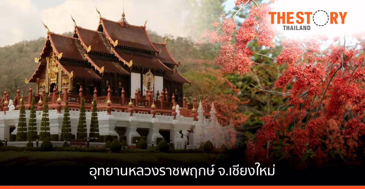 อุทยานหลวงราชพฤกษ์ – จ.เชียงใหม่ ทริปคนรักพรรรณไม้ เสพธรรมชาติไปฤดูไหนก็เที่ยวได้