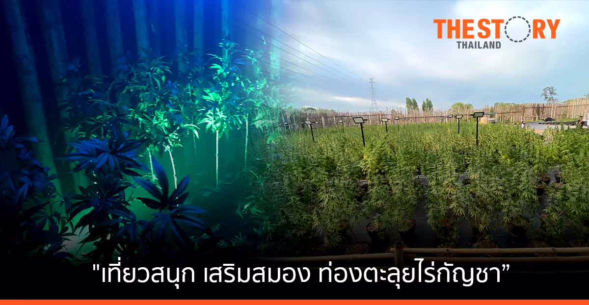 เลเจนด์ สยาม พัทยา ปรับโฉมใหม่ “เที่ยวสนุก เสริมสมอง ท่องตะลุยไร่กัญชา”