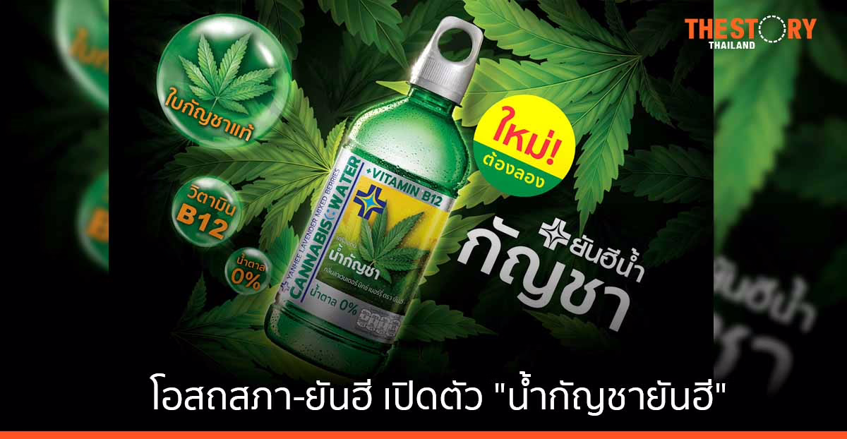 โอสถสภา ผนึก ยันฮี เปิดตัว 'น้ำกัญชายันฮี