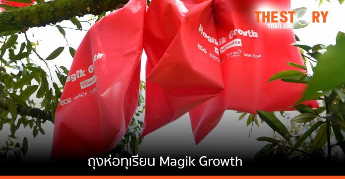 ถุงห่อทุเรียน Magik Growth ช่วยให้ ‘เปลือกบาง-เนื้อหนาขึ้น’ ลดสารเคมี เพื่อการส่งออก