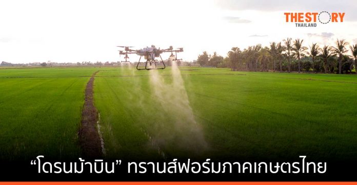 “โดรนม้าบิน” ยกระดับคุณภาพพืชเศรษฐกิจ และทรานส์ฟอร์มภาคเกษตรไทย