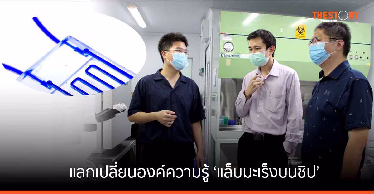 วิศวะมหิดล – ม.นิวยอร์ค แลกเปลี่ยนความรู้ ‘แล็บมะเร็งบนชิป’ ตรวจมะเร็งในผู้ป่วยสู่การรักษาได้เร็วขึ้น