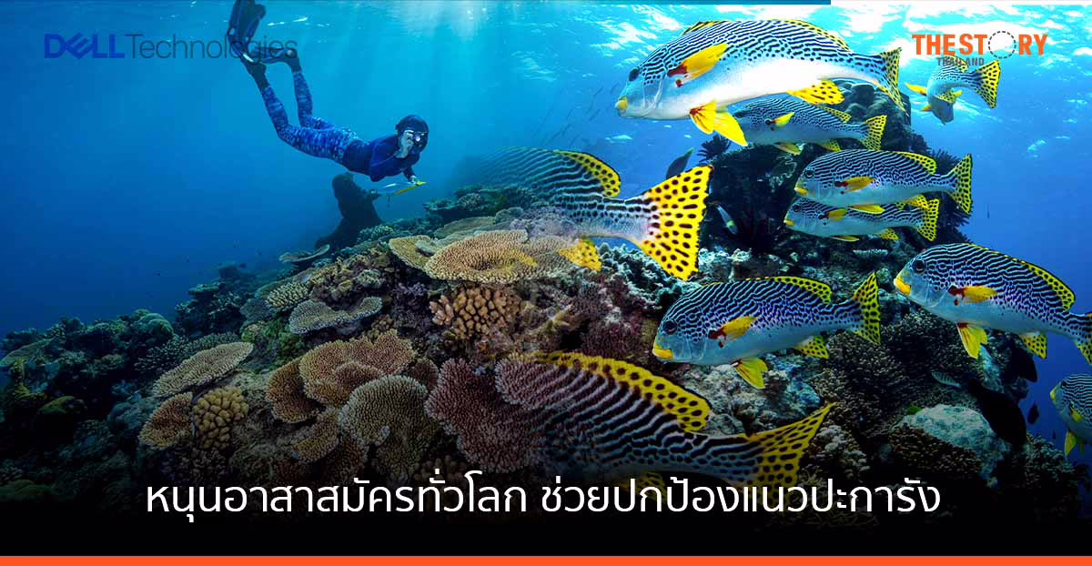 เดลล์ เปิดตัวโมเดล deep leaning หนุนอาสาสมัครทั่วโลก ช่วยปกป้องแนวปะการังที่ใหญ่ในโลก