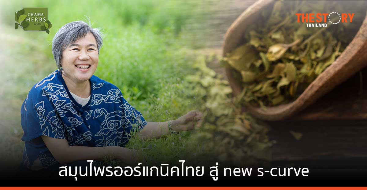‘ฉมา’  แบรนด์สมุนไพรออร์แกนิคไทย สู่ new s-curve ในอนาคต