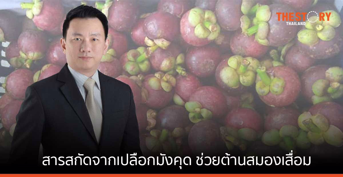 มหิดลเผย สารสกัดจากเปลือกมังคุด ช่วยต้านสมองเสื่อม