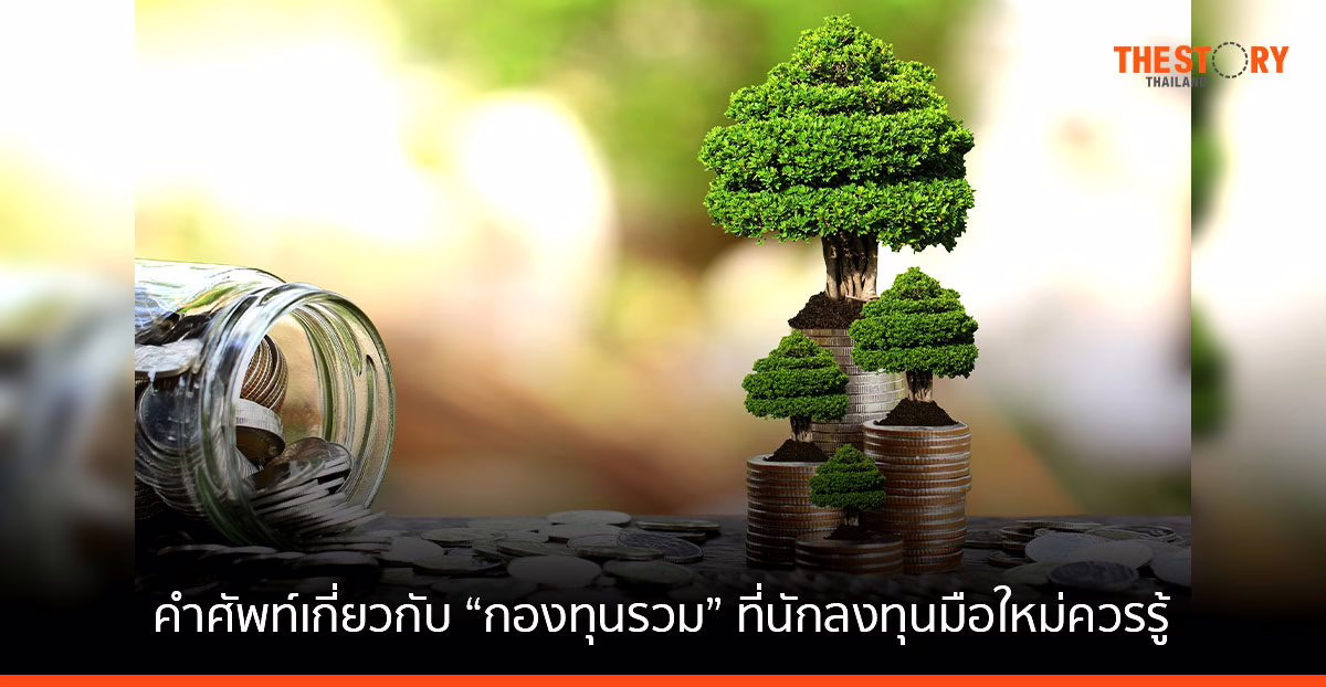 20 คำศัพท์เกี่ยวกับ “กองทุนรวม” ที่นักลงทุนมือใหม่ควรรู้