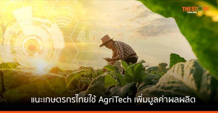 EIC แนะ เกษตรกรไทยใช้ AgriTech และกลยุทธ์การพัฒนาเชิงคลัสเตอร์ เพิ่มมูลค่าผลผลิต