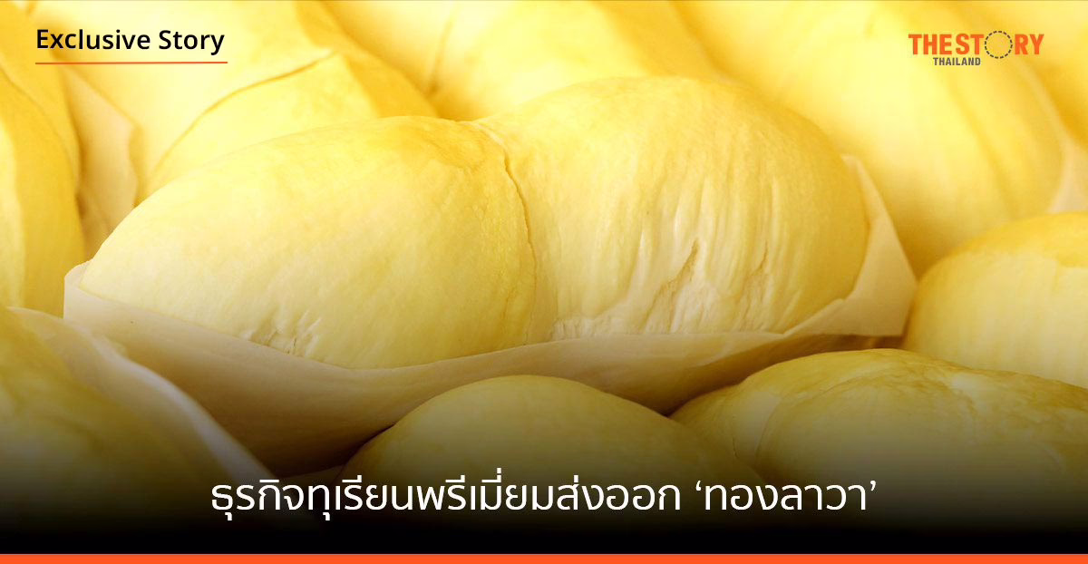 จากชอบกินทุเรียนอร่อย สู่ธุรกิจทุเรียนพรีเมี่ยมส่งออก ‘ทองลาวา’