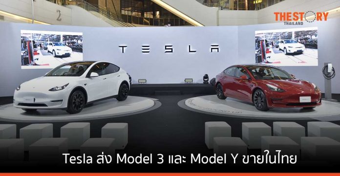 Tesla มาเอง ส่ง Model 3 และ Model Y ขายในไทย จองวันนี้ เริ่มส่งมอบ Q1/2566