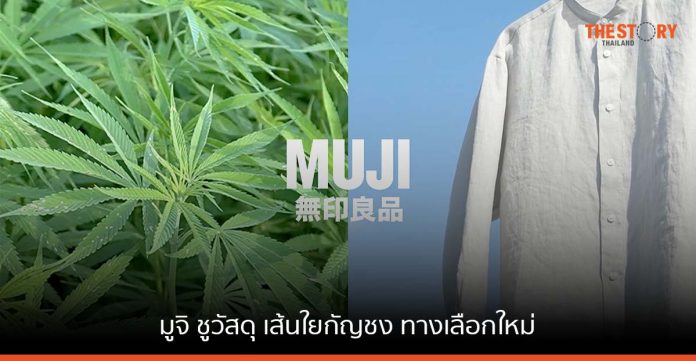 มูจิ ประเทศไทย ชูวัสดุ เส้นใยกัญชง เป็นผ้าทางเลือกใหม่สำหรับเสื้อผ้า MUJI