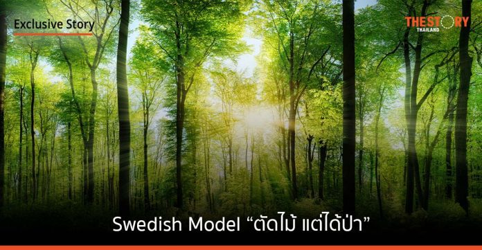 เหลียวหลังแลหน้า Swedish Model บทเรียนการจัดการป่าอย่างยั่งยืนจากสวีเดน “ตัดไม้ แต่ได้ป่า”