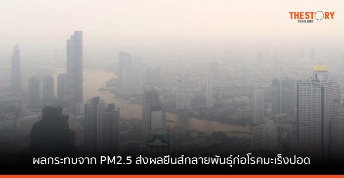 ผลกระทบจากวิกฤติ PM2.5 เรื้อรัง ส่งผลยีนส์กลายพันธุ์ก่อโรคมะเร็งปอด ภัยร้ายใกล้ตัวที่ไม่ควรมองข้าม