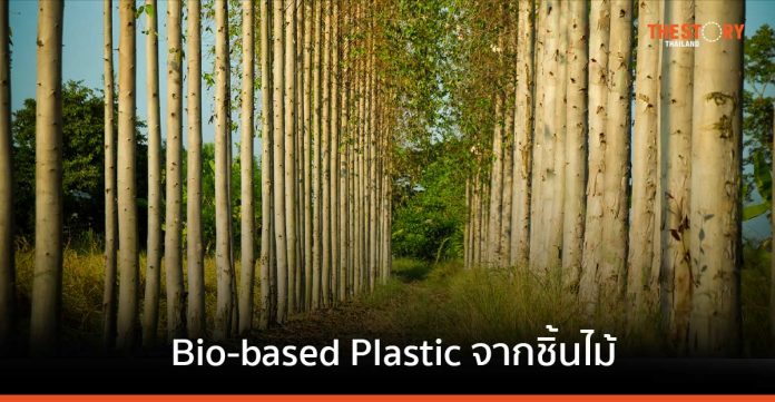 นวัตกรรม ‘Bio-based Plastic จากชิ้นไม้ยูคาลิปตัสสับ’ เพิ่มมูลค่าทางธุรกิจจากพืชหมุนเวียนสู่พลาสติก Bio-PET