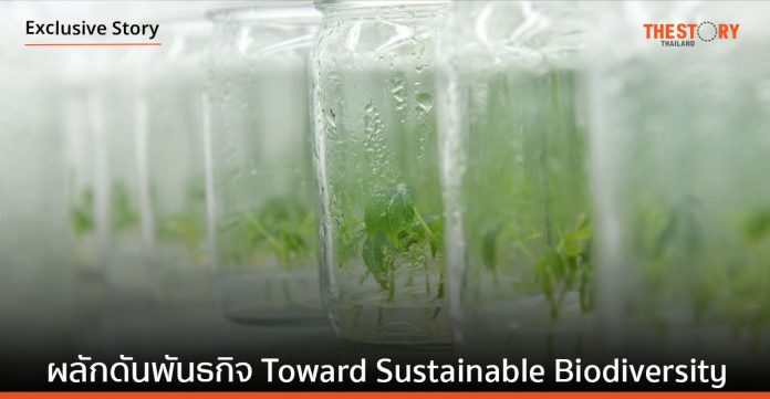 ธนาคารทรัพยากรชีวภาพแห่งชาติ ผลักดันพันธกิจ Toward Sustainable Biodiversity