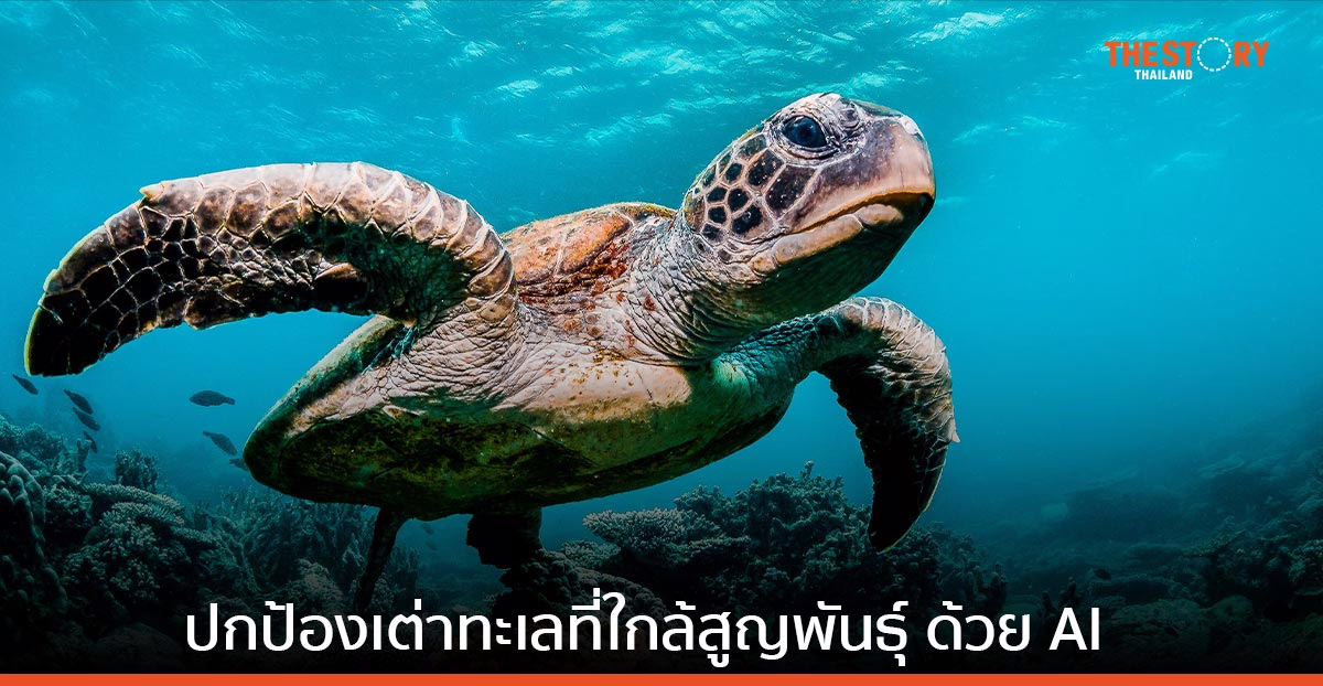 ปกป้องเต่าทะเลที่ใกล้สูญพันธุ์ ในหมู่เกาะกาลาปากอสด้วย AI