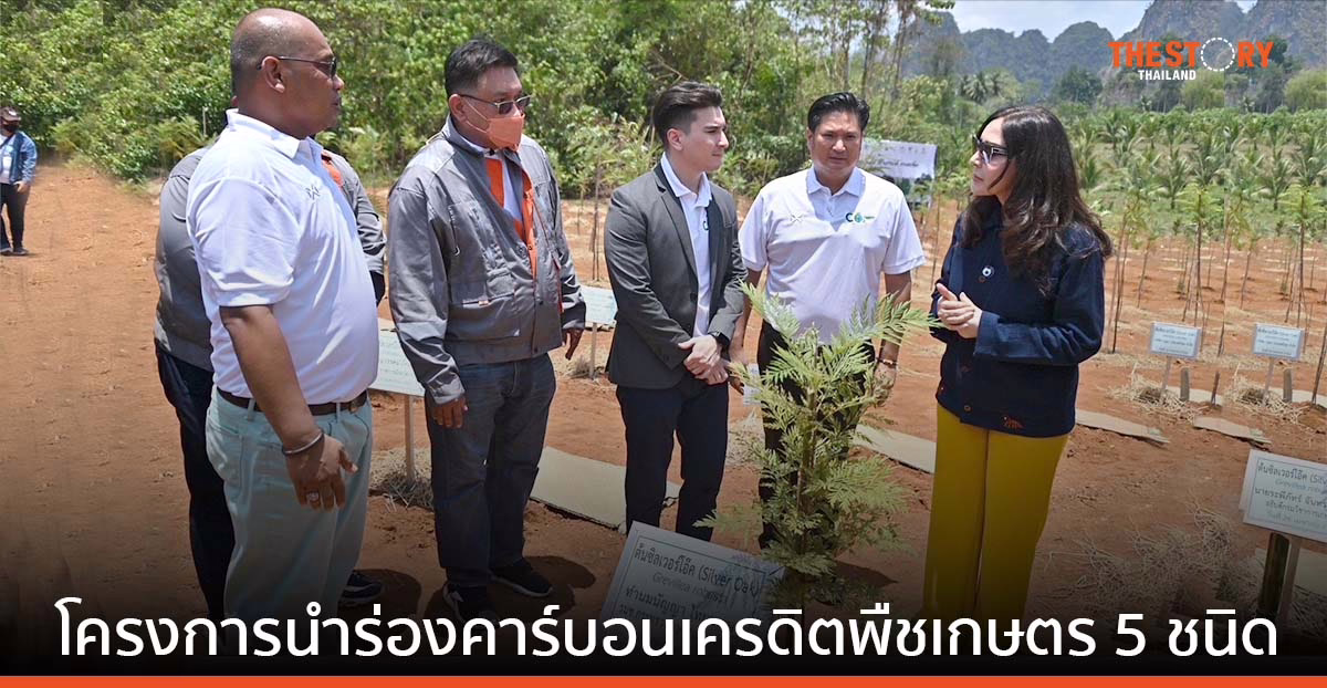 ”ต้นซิลเวอร์โอ้ค” พืซเศรษฐกิจใหม่ ช่วยฟอกอากาศเสีย แก้ปัญหาโลกร้อน