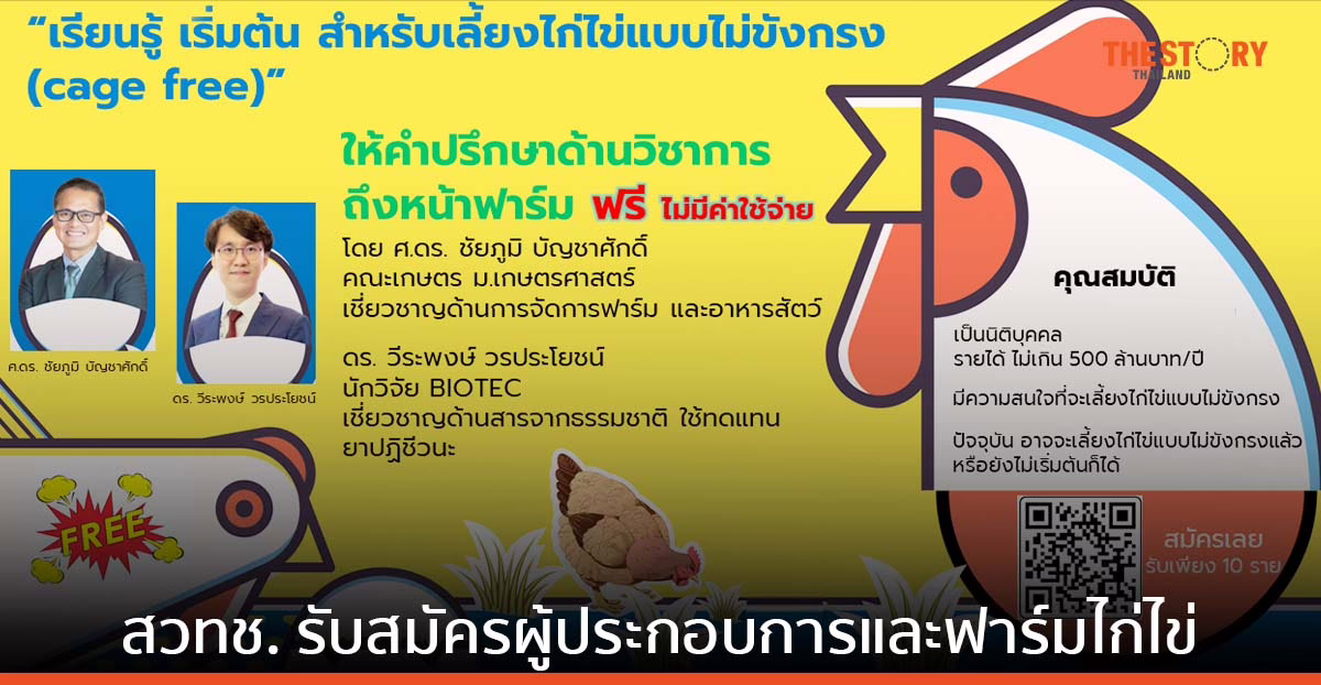 ITAP สวทช. รับสมัครผู้ประกอบการและฟาร์มไก่ไข่ ร่วมโครงการเลี้ยงไก่ไข่แบบไม่ขังกรง
