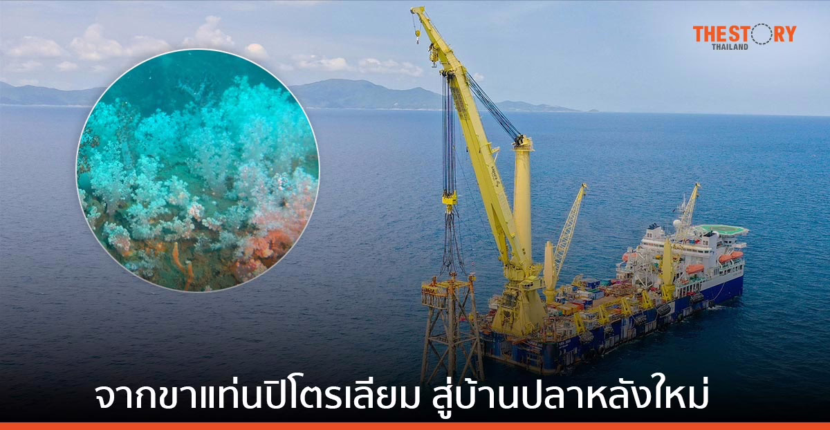 เปิดผลสำเร็จ 2 ปี โครงการนำร่อง Rigs-to-Reefs พลิกบทบาทขาแท่นปิโตรเลียม สู่บ้านปลาหลังใหม่ใต้ทะเล