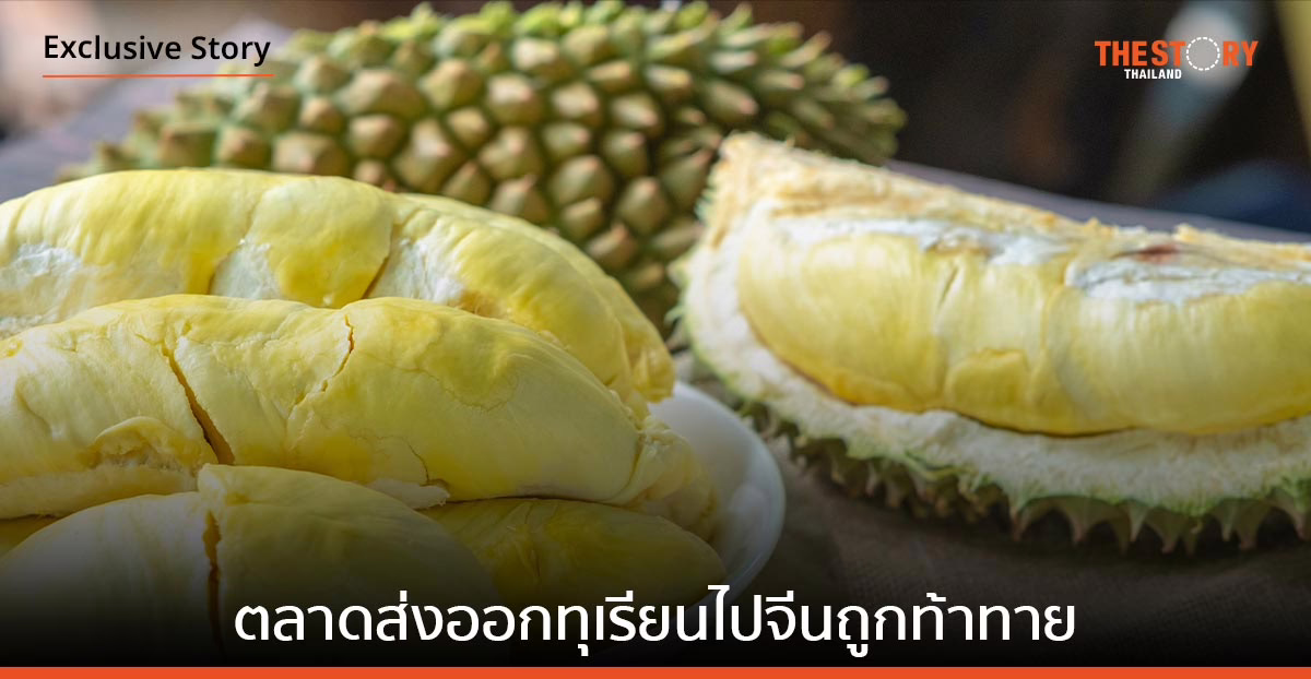 เมื่อ "ตลาดส่งออกทุเรียนไปจีน" ของไทย ถูกท้าทาย
