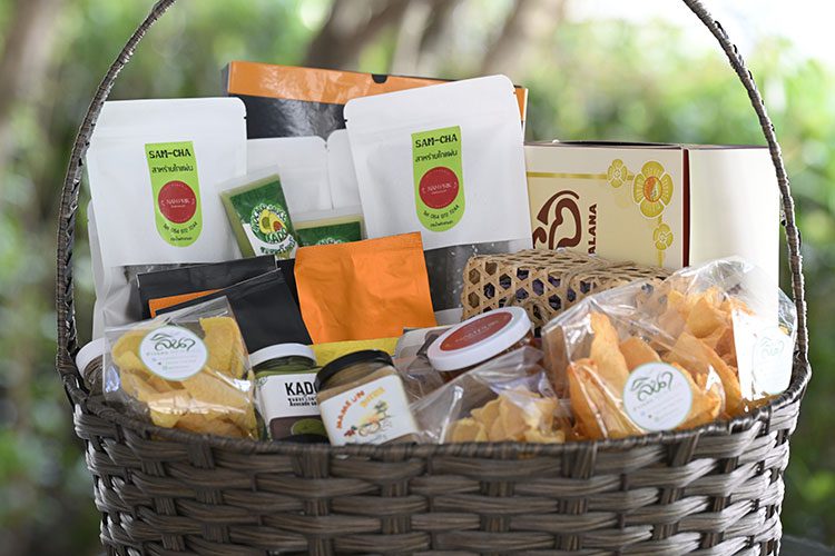 เพาะพันธุ์ปัญญาแคมป์